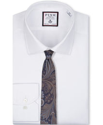 Taupe Paisley Woven Silk Tie