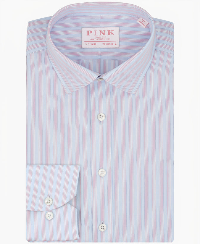 Tea Rose Tailored Fit Twill Wide Stripe Dress Shirt